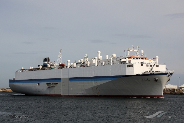 Koronawirus na dwóch statkach w Australii - GospodarkaMorska.pl